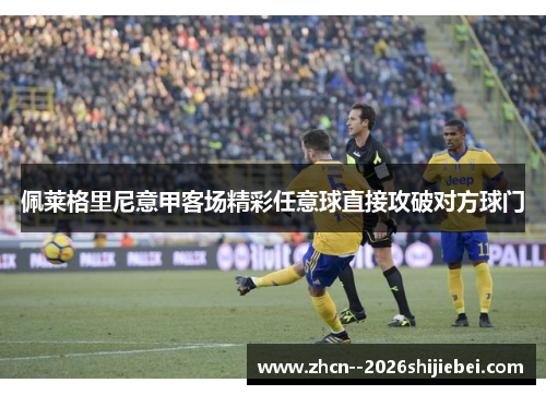 佩莱格里尼意甲客场精彩任意球直接攻破对方球门