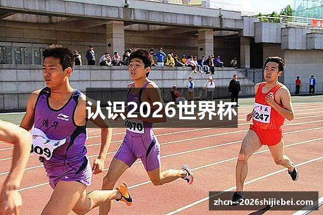 认识2026世界杯